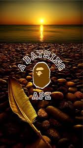 Bape neon logo wallpaper, bope print digital wallpaper, sign. Bathing Ape Wallpaper Hd 640x1136 Wallpaper Teahub Io