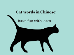 As you might suspect, punny combines a pun and funny. 5 Chinese Words You Didn T Expect To See A Cat In