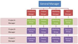 the different types of organizational charts and why each is