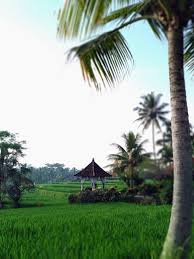 Taxe sur les abris de jardin : Petite Cabane Au Fond Du Jardin Picture Of Griya Tampak Siring Sentul Tripadvisor