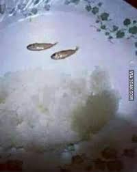 We did not find results for: 7 Menu Buka Puasa Pakai Ikan Ini Nyeleneh Bikin Ngakak Memorable With Us