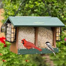 Best Bird Feeders For Small Birds Only Attract More Birds And Shop Our Top 10 Most Popular Bird Feeders For Fall Bird Feeders Food Feeder Birds