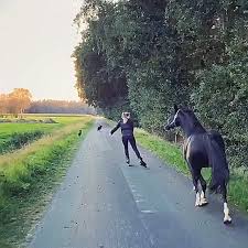 Pin On Horses