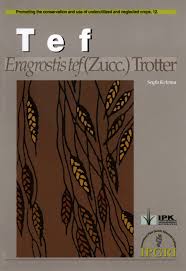 Image result for Eragrostis aethiopica