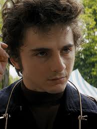 After A Complete Unknown Movie