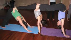 Partner Yoga Pose Triple Down Dog 3 Person Yoga Poses Partner Yoga Poses Easy Yoga Poses