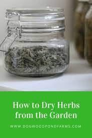 How To Dry Herbs From The Garden Tips And Techniques Drying Herbs Preserving Herbs Organic Gardening Tips
