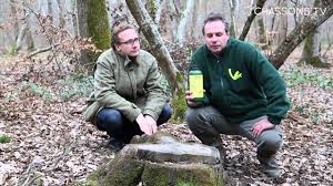 Comment Attirer Des Sangliers Sur Votre Territoire De Chasse Youtube