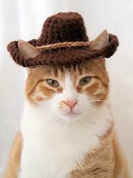 Make your own images with our meme generator or animated gif maker. Ravelry Cowboy Hat For Cats Pattern By Rebecca Davis
