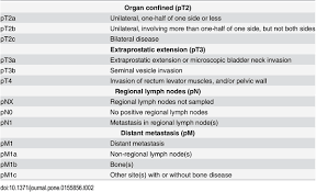 Image result for Prostate Cancer Staging