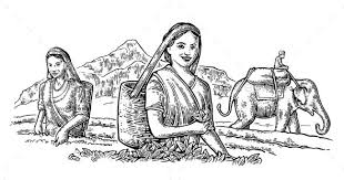 Today we will concern the theme, which is quite popular in painting, and learn to paint lilac. Female Tea Pickers Leaves Dark Art Drawings Village Scene Drawing Pencil Drawing Images