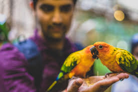 Exploring Kuala Lumpur & Genting Highlands, Malaysia