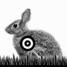 Precision Rabbit Target Shooting Targets Target Rabbit