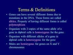 Genetic Linkage And Recombination Ppt Download