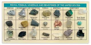 Rocks Fossils Minerals Gems Rock Identification Geology Rocks Minerals And Gemstones