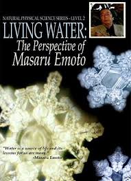 Water from clear mountain springs and streams had beautifully formed crystalline structures, while the crystals of polluted or stagnant water were deformed and distorted. 38 Hidden Messages In Water Ideas Hidden Messages In Water Masaru Emoto Water