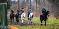 Halloween Hunter Pace — Quiet Creek Stable