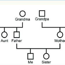 Then, you can use standard genogram symbols to create a diagram that documents your family's specialized history. An Example Of A Genogram Download Scientific Diagram