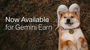 Dogecoin crypto updated may 31, 2021 8:11 am. Earn Interest On Doge With Gemini Earn Which Now Holds 2b In Assets Gemini