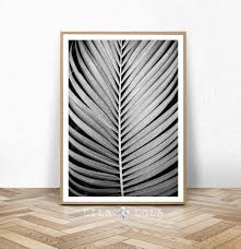 32 black palm & png. Black And White Wall Art Poster Palm Leaf Print Plant Photo Minimalist Tropical Poster Printable Digital Download Palm Tree Leaf Print
