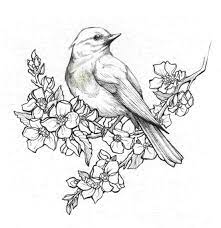 Pencil Drawings Of Flowers And Birds Pencil Drawings Of Flowers Bird Drawings Bird Sketch