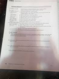 Three nucleotides encode an amino acid. Laboratory Review 22 Sogan Phosphates And The Hy Chegg Com