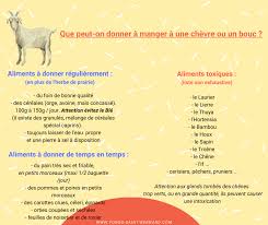 Les Aliments Pour Les Chevres Le Fonds Saint Bernard