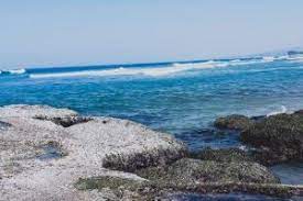 Pantai manalusu ini berada di kecamatan cikelet, kabupaten garut. Pantai Taman Manalusu Abdirakyatnews