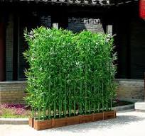 Amazon.com: CMYUN Outdoor Artificial Bamboo Privacy Fence ...