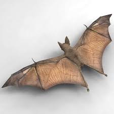Pin On 3d Animals