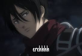 For glasses designed for specific beverages, from wine to whiskey to lemonade, explore our collection of glassware. Dudebros Can T Handle Attack On Titan Mikasa S Grown Up Look 9gag