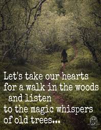 Vamos A Tomar Nuestros Corazones Para Un Paseo En El Bosque Y Escuchar Los Susurros Magicos De Los Nature Quotes Adventure Nature Quotes Into The Woods Quotes