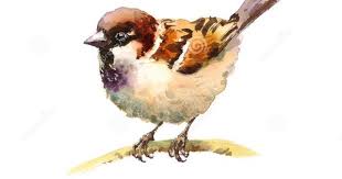 illustration uber hand gezeichnetes aquarell illustrustr tiny haus familie idee vogel malen vogel illustration aquarellbilder