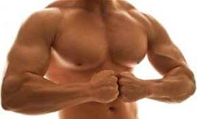 How to bulk up and cut the smart way. How Long To Bulk Before Cutting Proper Bulking Phase Length