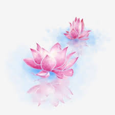 Reflexao De Flor De Lotus Rcolor Fresco E Elegante Em Clipart De Lotus Cor De Lotus Lotus No Png Imagem Para Download Gratuito Watercolor Lotus Flower Reflection Water Reflection Painting