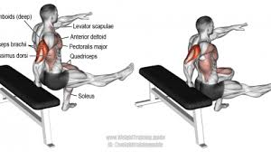 pin on body building