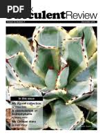 Image result for Plicosepalus amplexicaulis