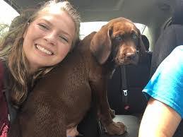 Marla Mosby's Instagram, Twitter & Facebook