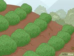One of the best ways that we can prevent erosion is to plant vegetation with deep roots that help to hold the soil in place. How To Prevent Soil Erosion 15 Steps With Pictures Wikihow