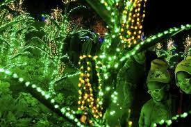 Popular exhibits include the walk of flames in the tunnel of light, musically synchronized orchestral orbs, the glittering galaxy, radiant rainforest, and a magnificent assortment of model trains. Garden Lights Holiday Nights At Atlanta Botanical Garden Is One Of The Very Best Things To Do In Atlanta
