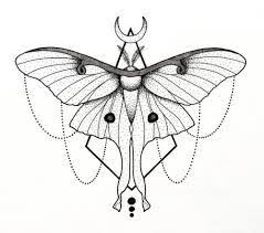 Black And White Spotted Moth Meaning Image Result For Scary Moth Design Black And White Lunar Moth Tattoo Luna Moth Tattoo Moth Tattoo
