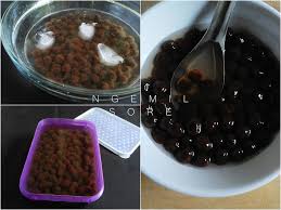 Bahan untuk membuat minumannya : Resep Homemade Bubble Boba Black Pearl Bubble Pearl Pearl Dan Iced Bubble Blue Sky Ngemil Sore