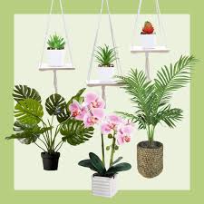 Garden yard ideas diy garden love garden spring garden garden projects diy projects flowers garden garden crafts garden from small to spacious. 30 Best Artificial Plants That Look Real You Need In 2021 Reader S Digest