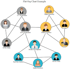 Non Hierarchical Org Chart Example