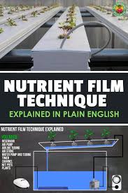 Nutrient film technique (nft) involves the recirculation of nutrient solution past the roots of the crops as a shallow stream of water in a watertight channel. The Nutrient Film Technique Explained Epic Gardening Hydroponics System Hydroponics Diy Film Technique