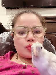 Lost white cockatiel in Murrysville area