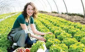 A fost publicat în monitorul oficial ordinul pentru aprobarea schemei de ajutor de minimis digitalizarea. Fonduri Europene Pentru Fermieri MulÈi Vor PuÈini Primesc Capital