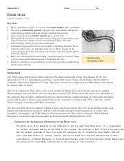 It was soon confirmed to be ebola virus disease, an illness previously seen primarily in central africa. Sheila Pflaum Ebola Virus Article Docx Pdf Human A P Name Per Ebola Virus Updated January 2016 Key Facts U2022 U2022 U2022 U2022 U2022 U2022 U2022 Ebola Virus Course Hero