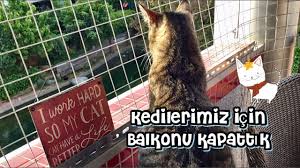 Kedilerimizin Guvenligi Icin Balkonu Telle Kapattik Youtube