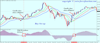 Forex Trading Strategy Of Macd With Alligator Indicator